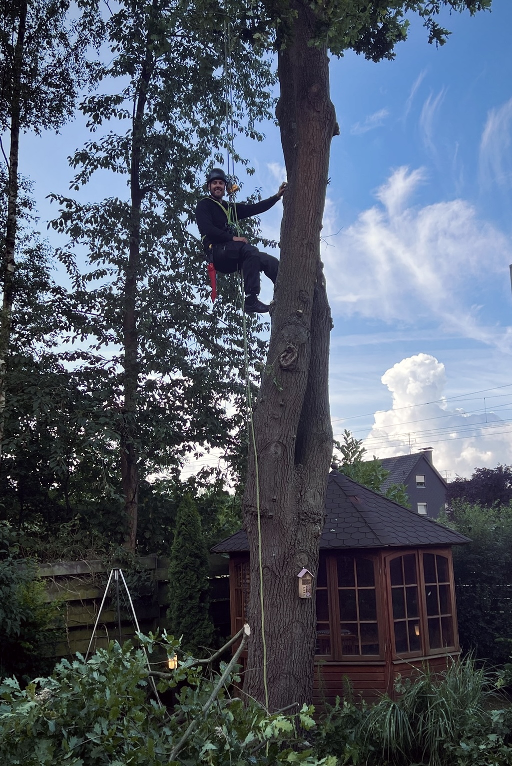 Kletterer an einem Stamm im Garten